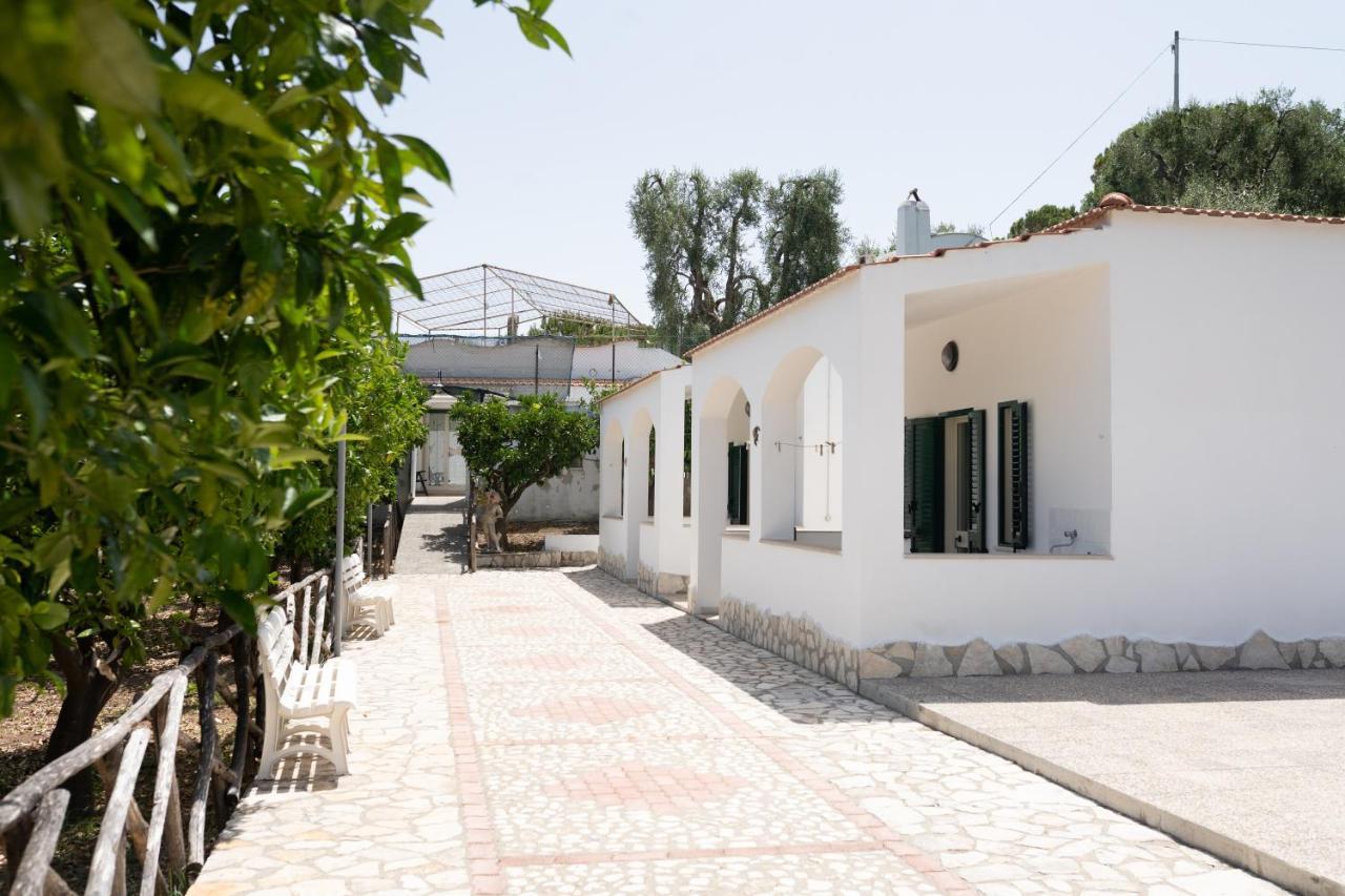 Penta Garden Apartment Peschici Exterior photo