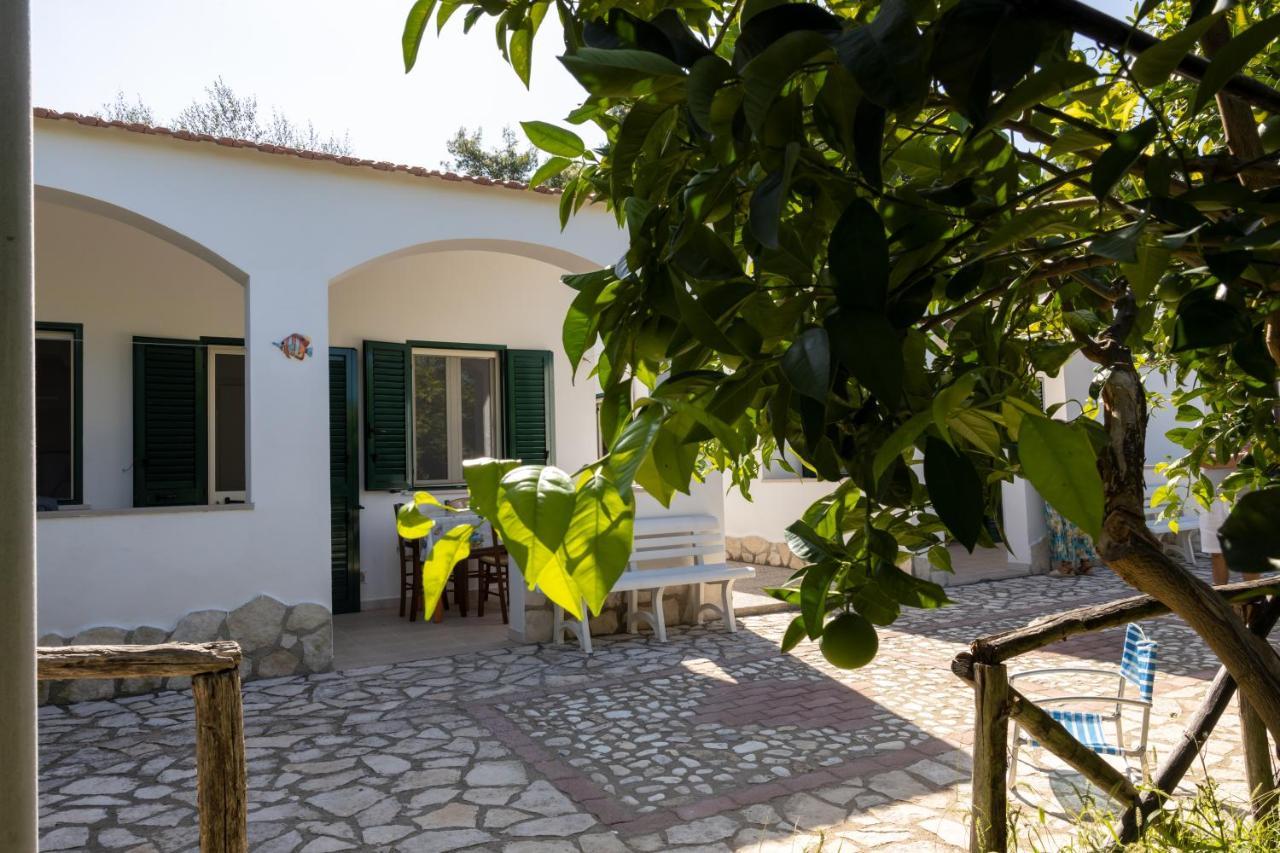 Penta Garden Apartment Peschici Exterior photo